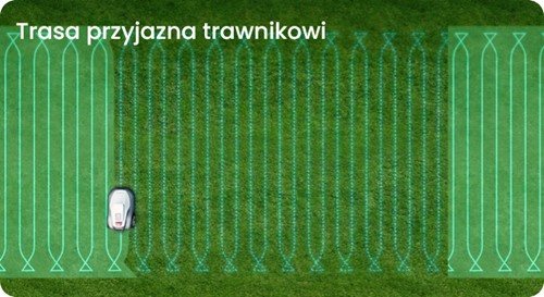 Robot koszący TerraMow V1000 - obrazek 6